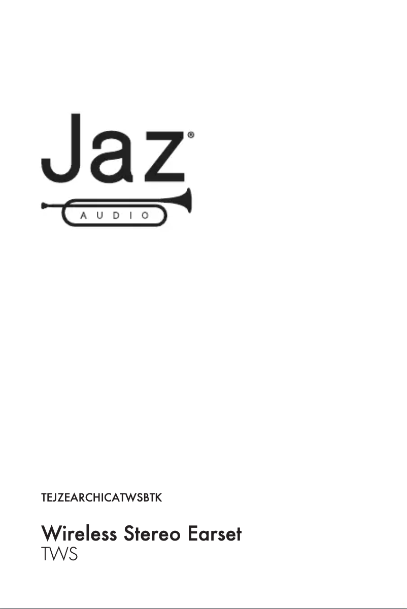 Image de la première page du manuel de l'appareil Chicago TWS