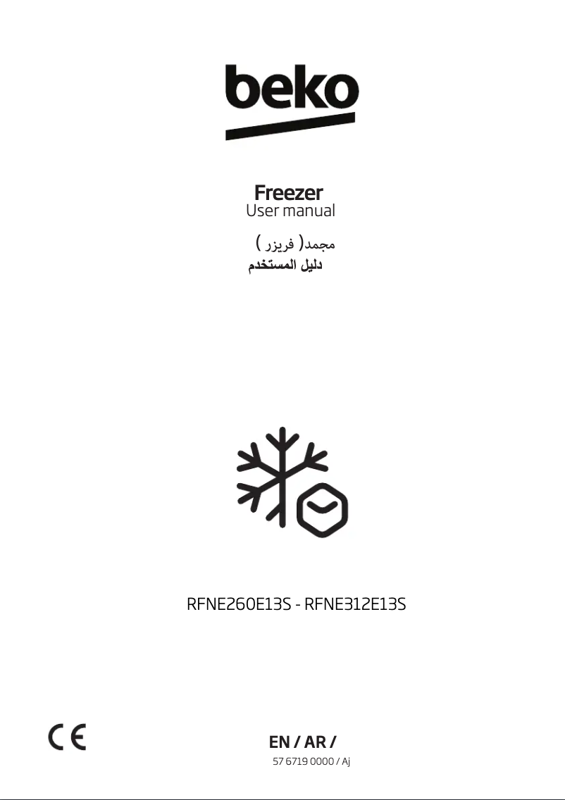 Image de la première page du manuel de l'appareil RFNE260E13S