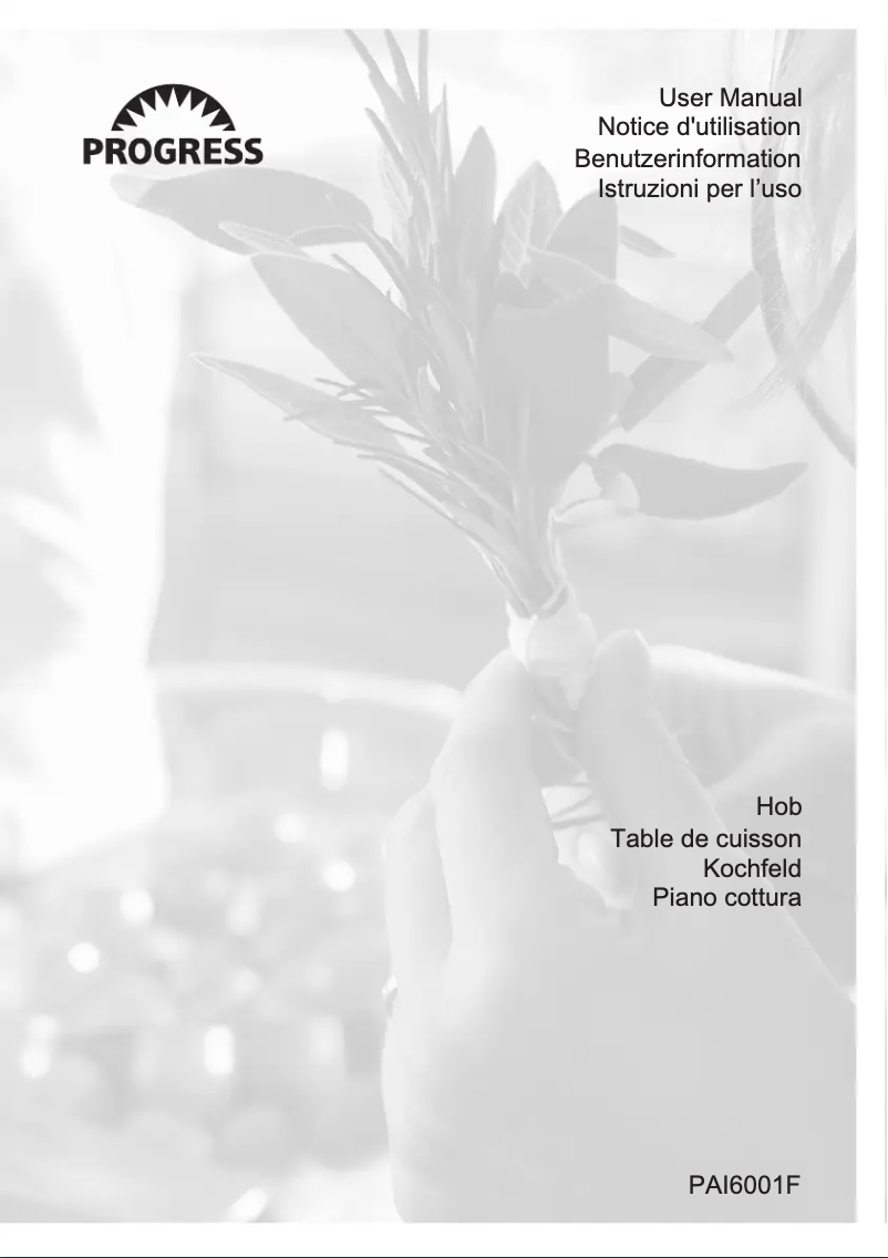 Page n°1 - Manuel utilisateur Progress PAI6001F