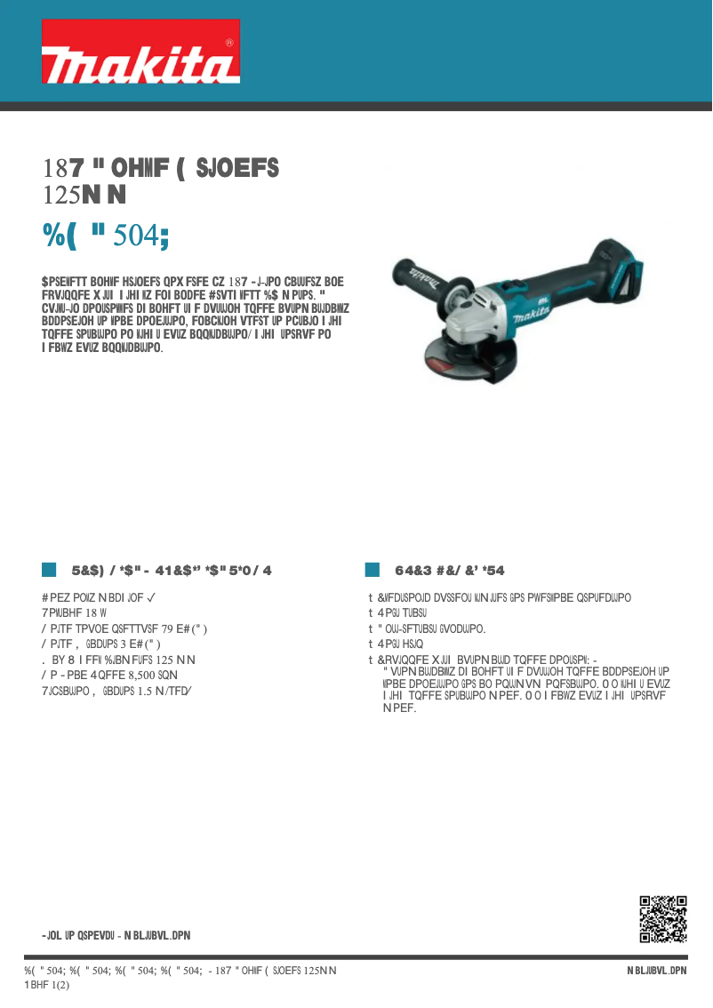 Image de la première page du manuel de l'appareil DGA504