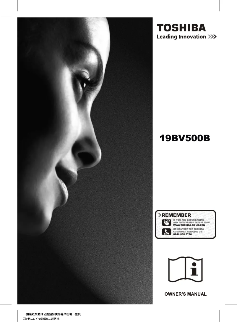 Image de la première page du manuel de l'appareil 19BV500B