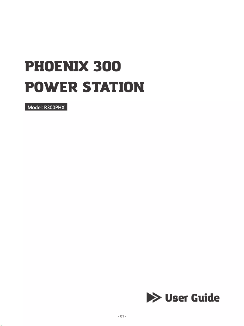 Image de la première page du manuel de l'appareil Phoenix 300