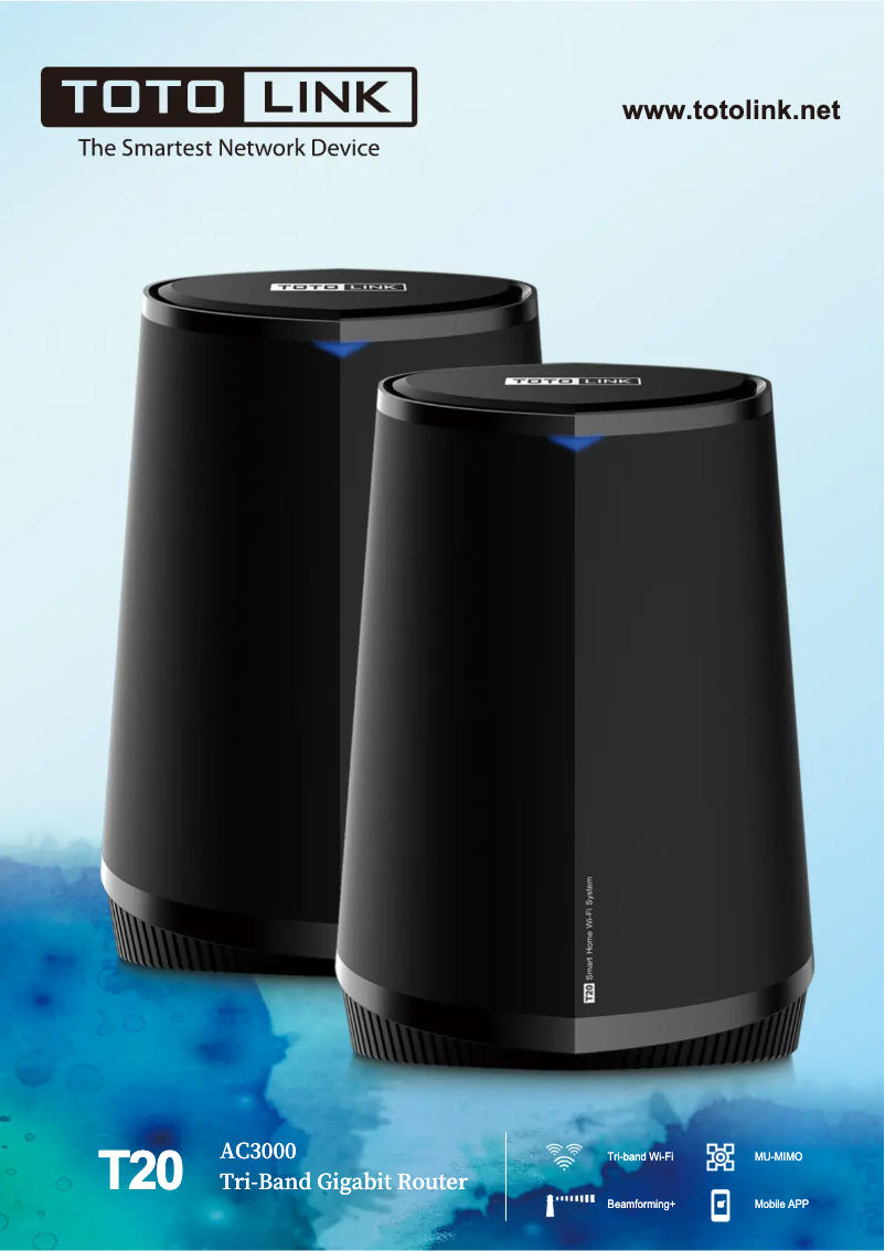 Page 1 de la notice Mode d'emploi Totolink T20