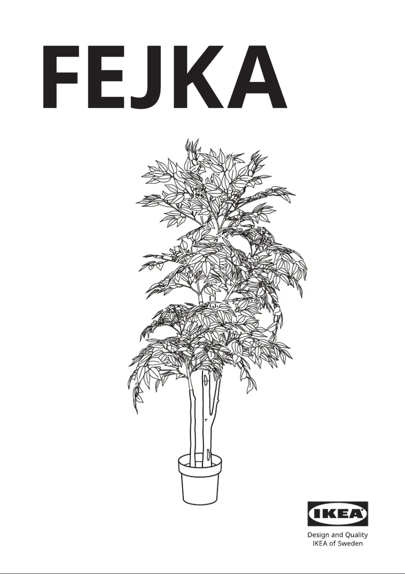 Image de la première page du manuel de l'appareil FEJKA 704.915.75