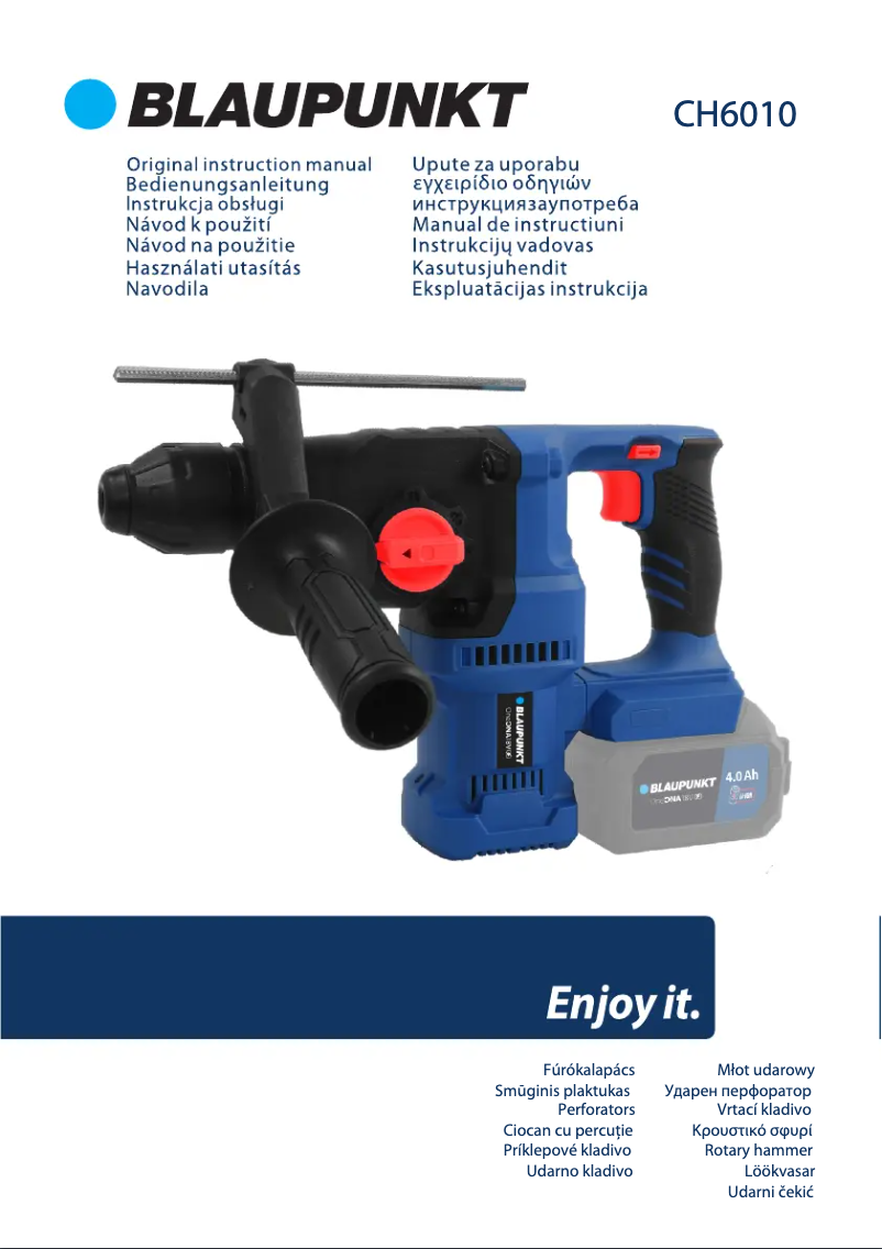 Page n°1 - Manuel utilisateur Blaupunkt CH6010