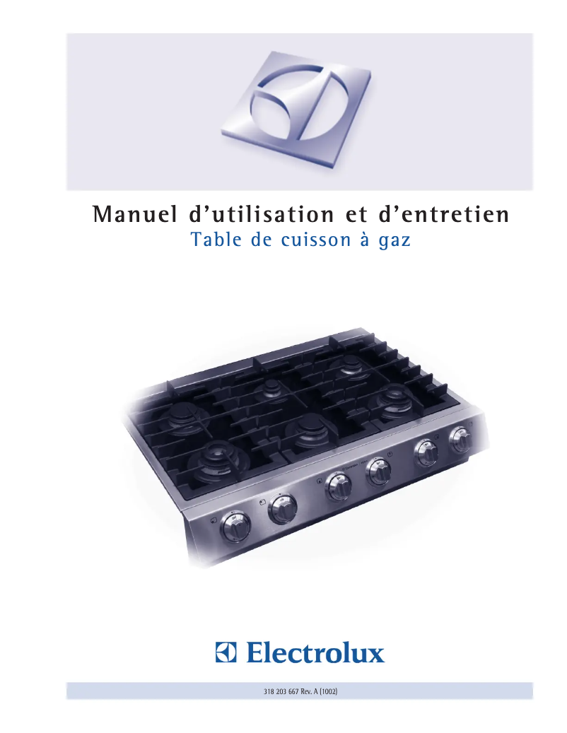 Image de la première page du manuel de l'appareil ICON E30GC74GPS