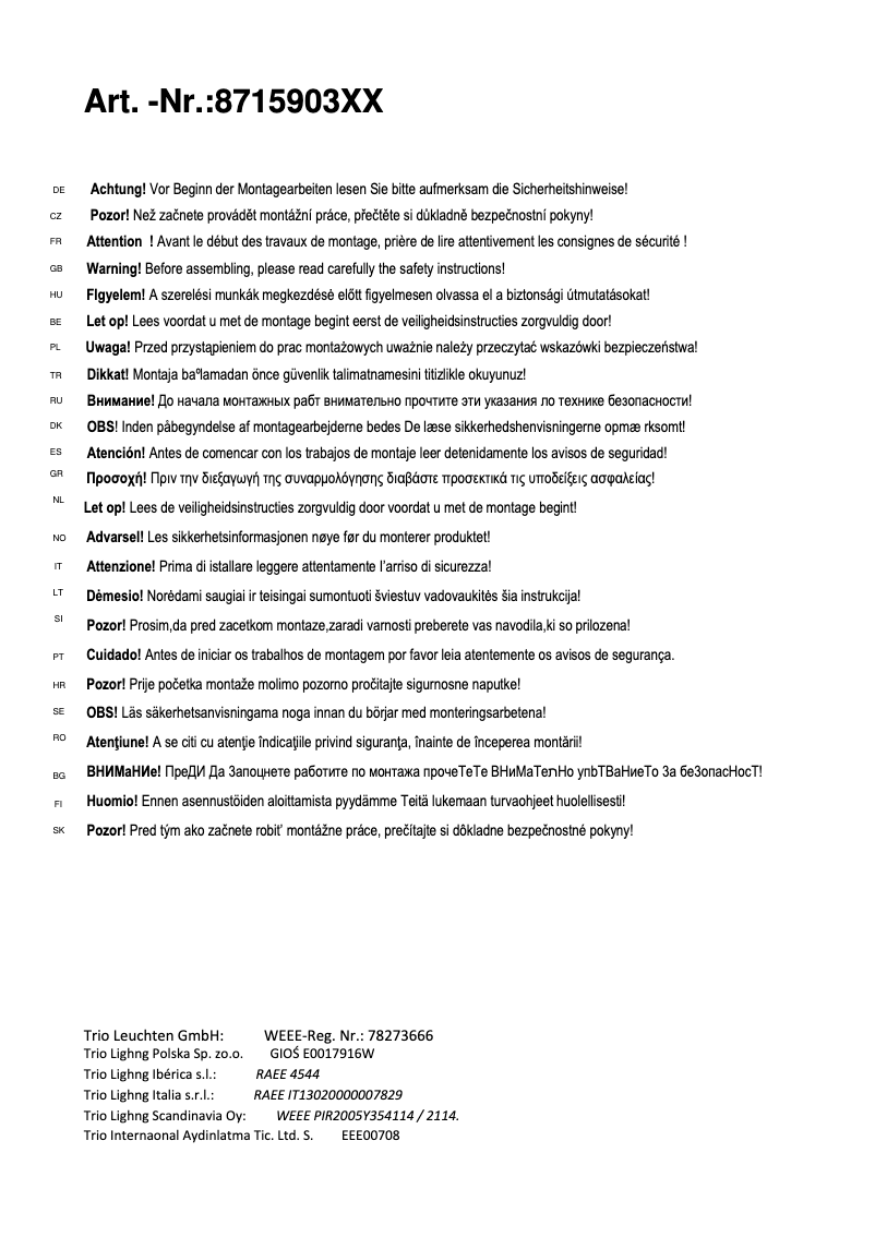 Page 1 de la notice Manuel utilisateur Trio Lighting Carico 871590307