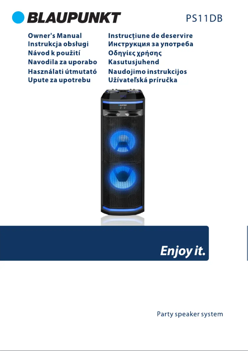 Page 1 de la notice Manuel utilisateur Blaupunkt PS11DB