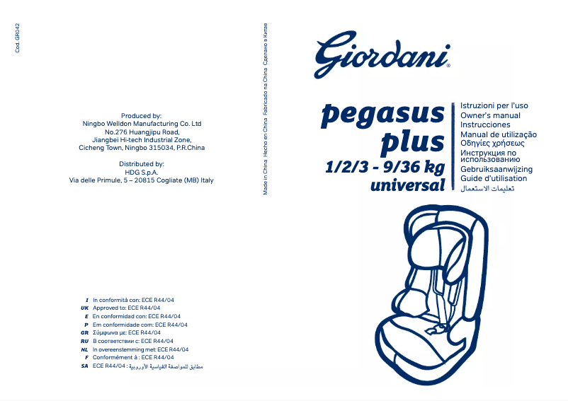 Page 1 de la notice Manuel utilisateur Giordani Pegasus Plus