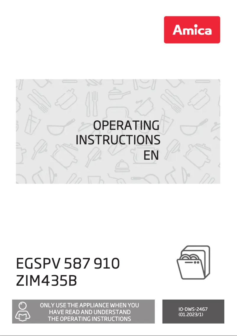 Image de la première page du manuel de l'appareil EGSPV 587 910