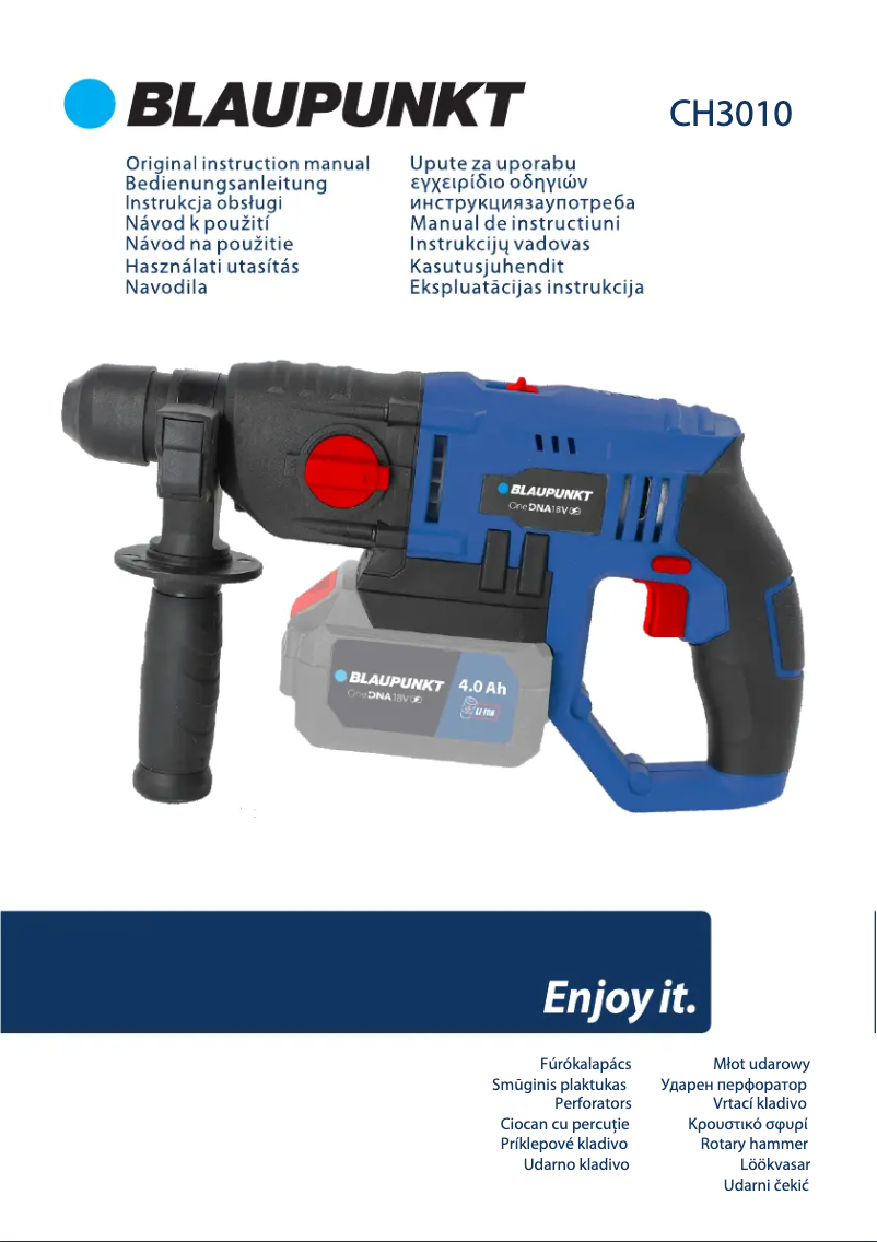 Page n°1 - Manuel utilisateur Blaupunkt CH3010