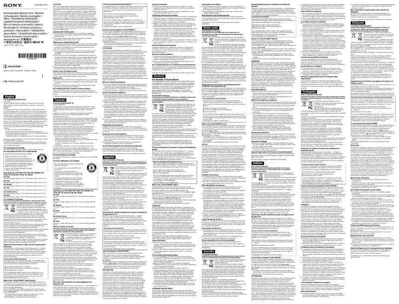 Image de la première page du manuel de l'appareil NP-FV100