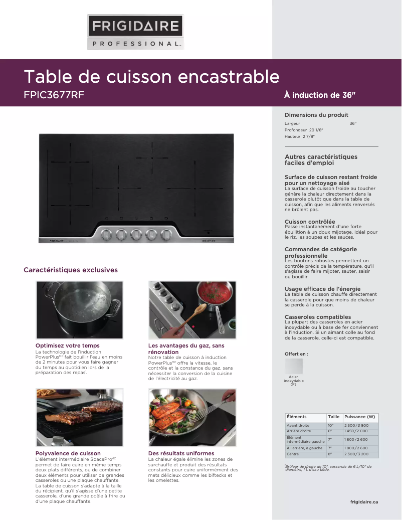 Image de la première page du manuel de l'appareil FPIC3677RF