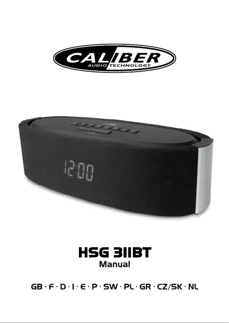 Image de la première page du manuel de l'appareil HSG311BT