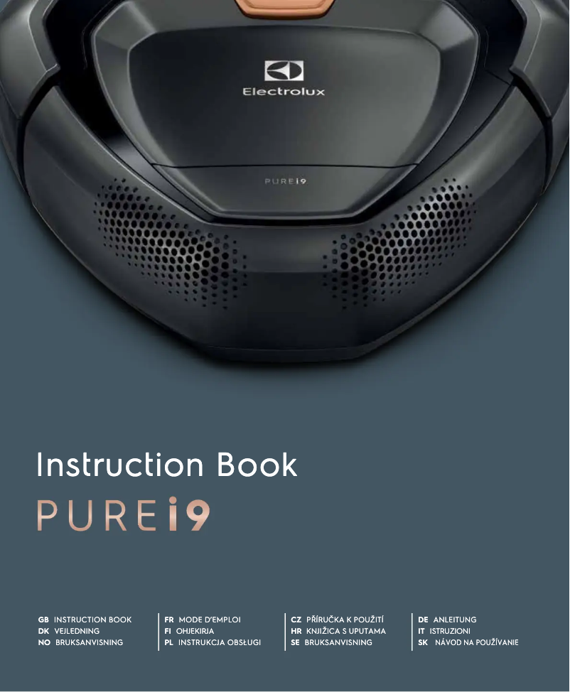 Page 1 de la notice Manuel utilisateur Electrolux PI91-5SGM