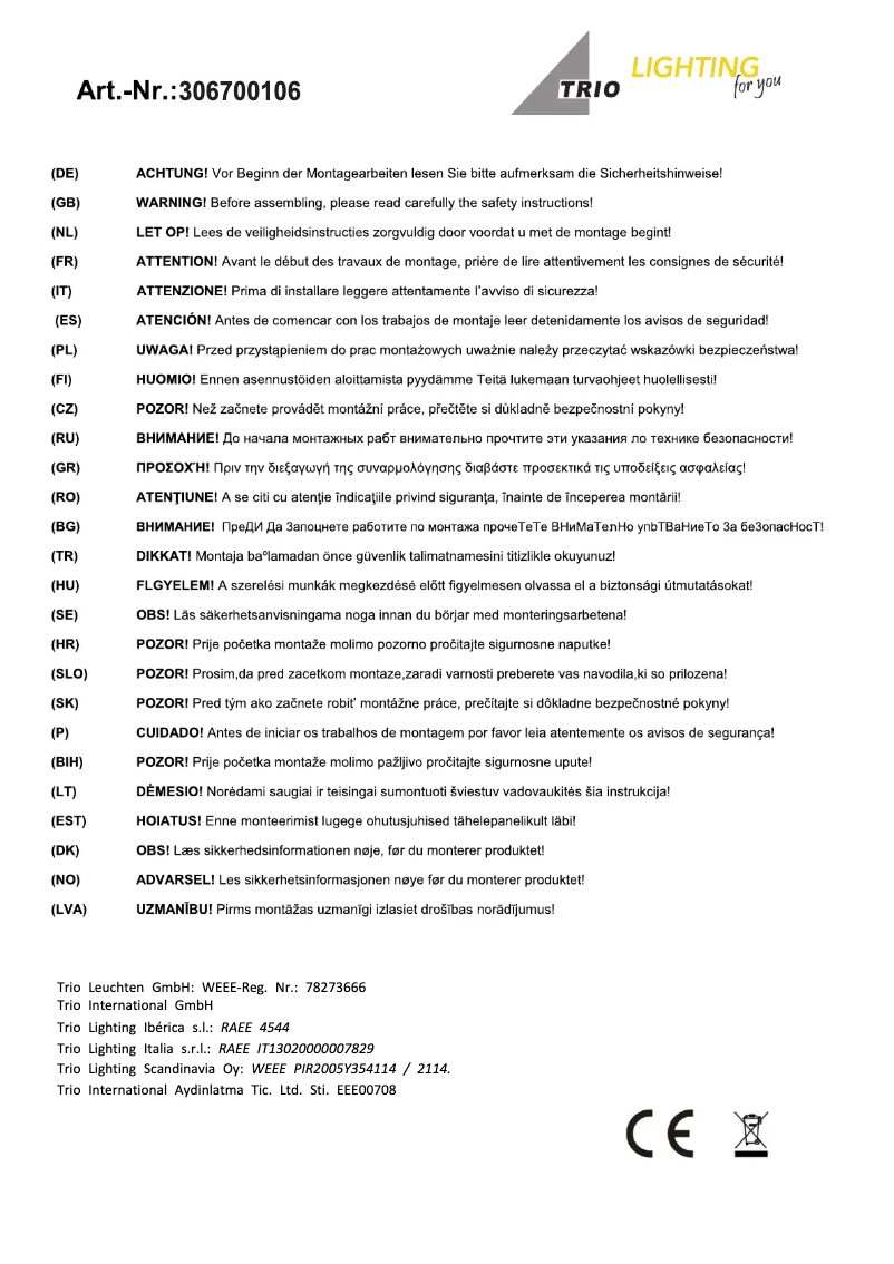 Page n°1 - Manuel utilisateur Trio Lighting Hamilton 306700106