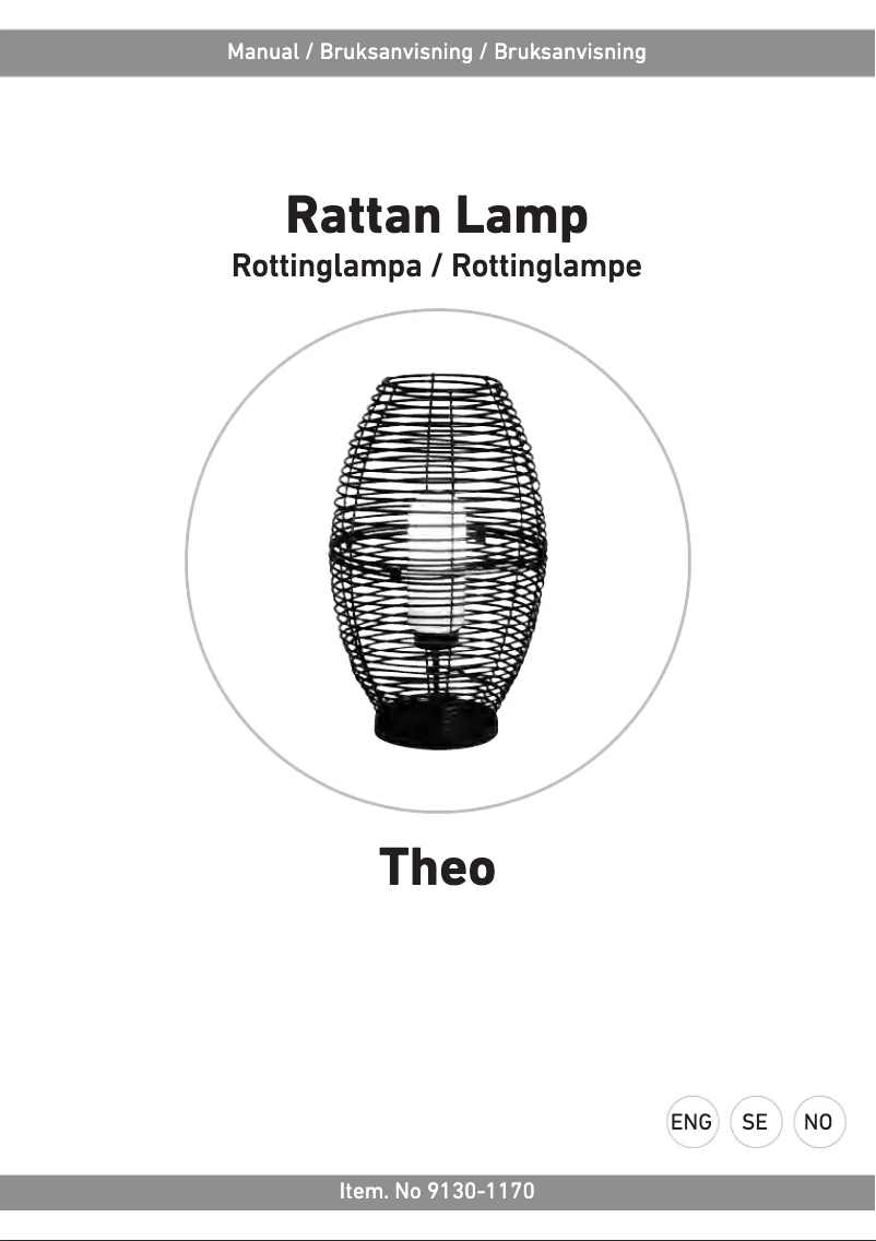 Page 1 de la notice Manuel utilisateur Rusta Theo