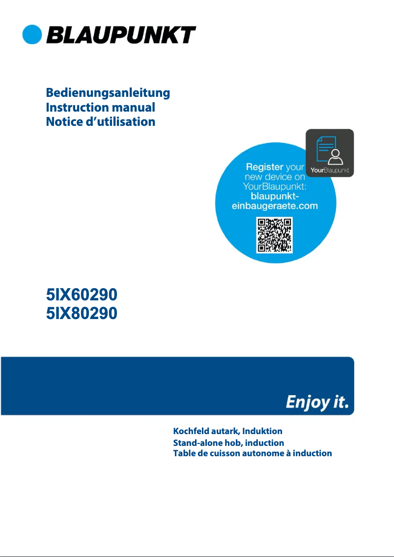 Página 1 del manual Guía de instalación Blaupunkt 5IX60290