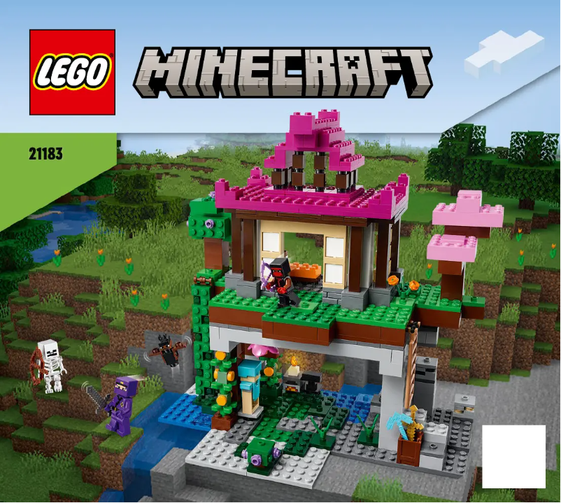 Page n°1 - Manuel utilisateur Lego Minecraft 21183