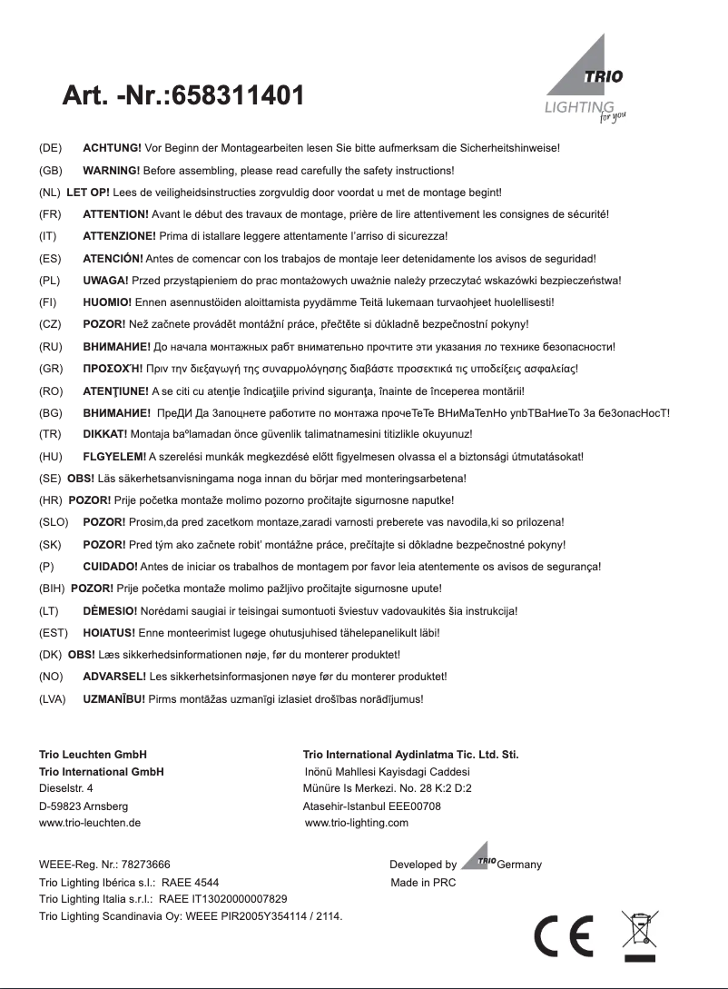 Page 1 de la notice Manuel utilisateur Trio Lighting Converter