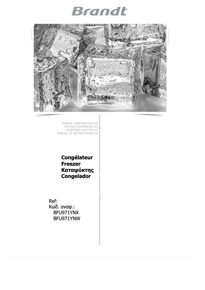 Page 1 de la notice Manuel utilisateur Brandt BFU971YNX