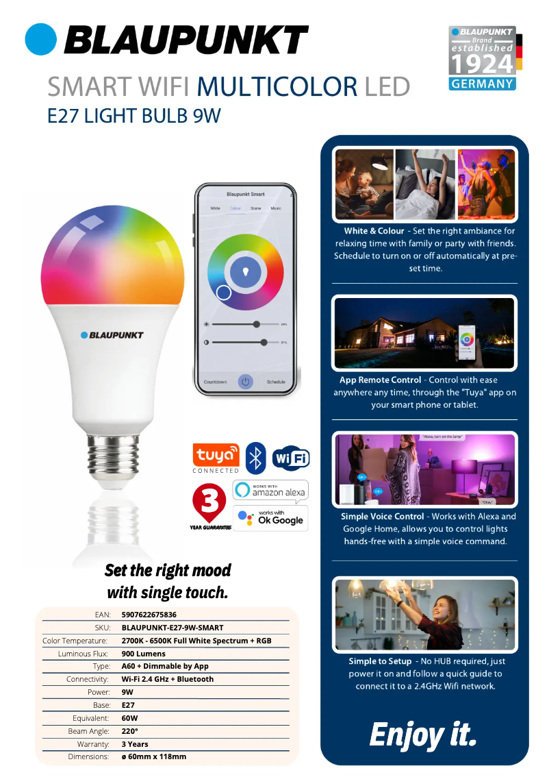 Page 1 de la notice Manuel utilisateur Blaupunkt E27-9W-SMART