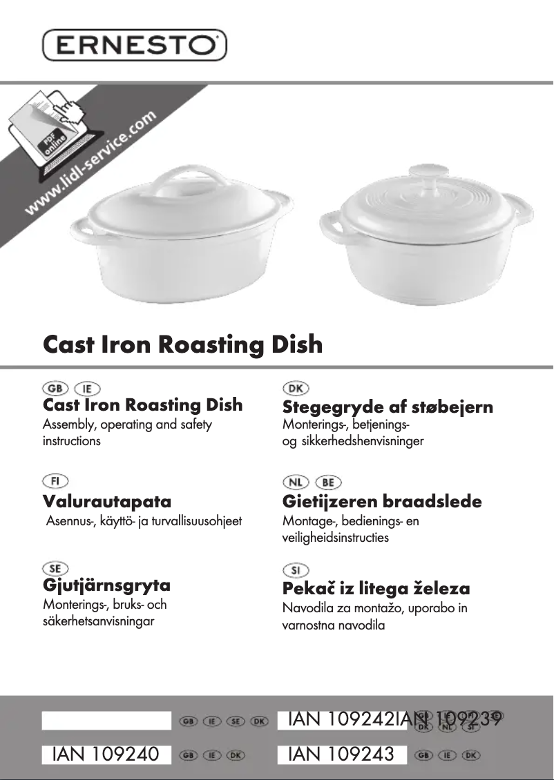 Page 1 de la notice Manuel utilisateur Ernesto IAN 109240