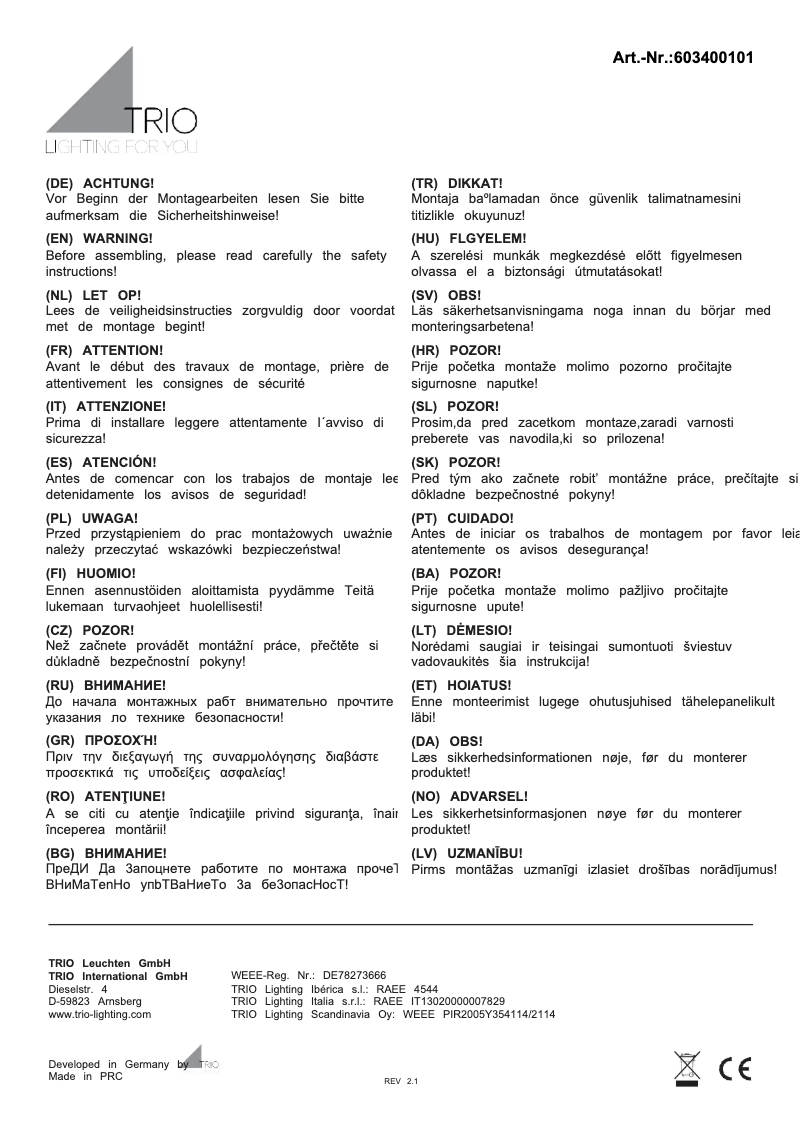 Page n°1 - Manuel utilisateur Trio Lighting Iris 603400101