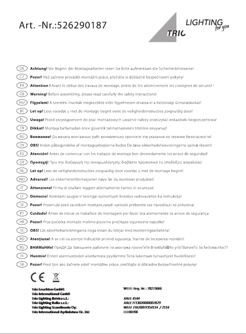 Page 1 de la notice Manuel utilisateur Trio Lighting Loris 526290187