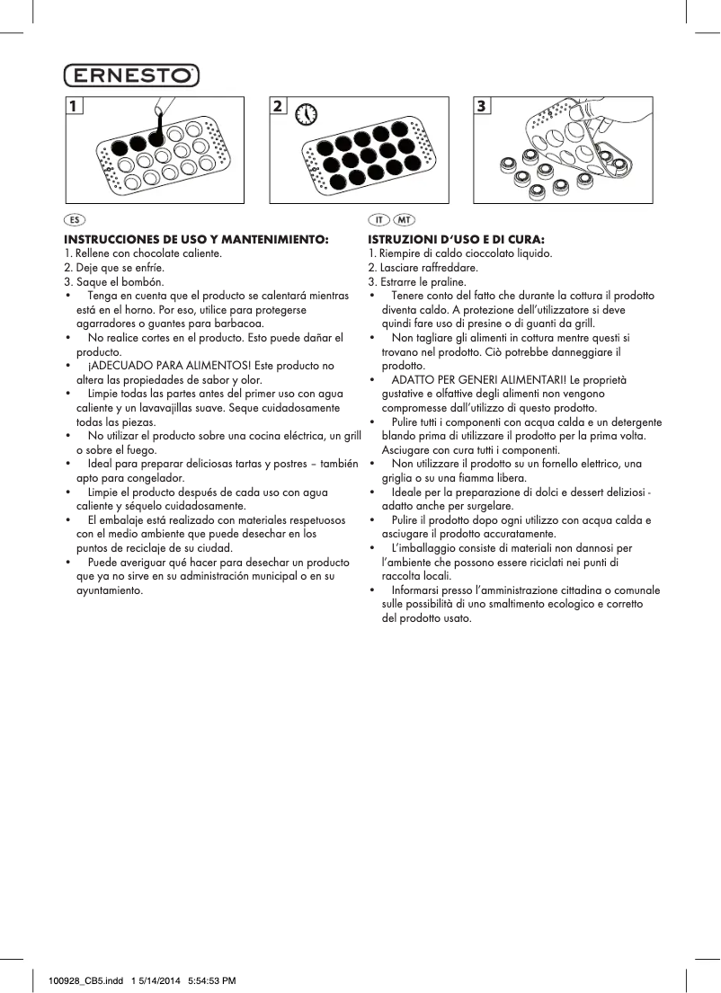 Page n°1 - Manuel utilisateur Ernesto IAN 113224