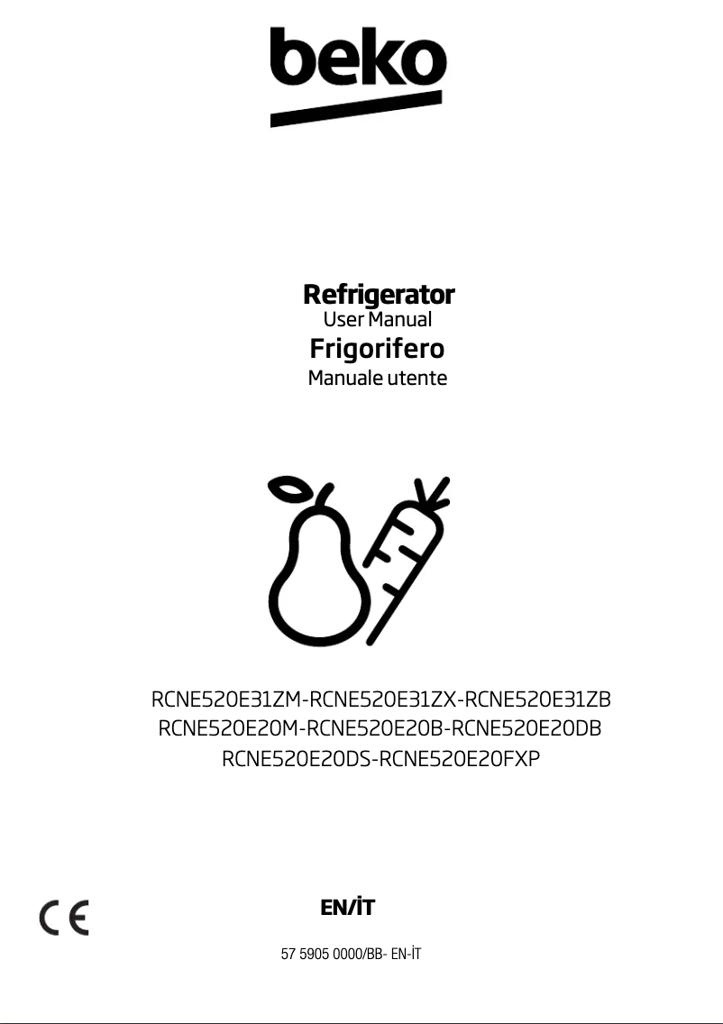 Image de la première page du manuel de l'appareil RCNE520E20DB