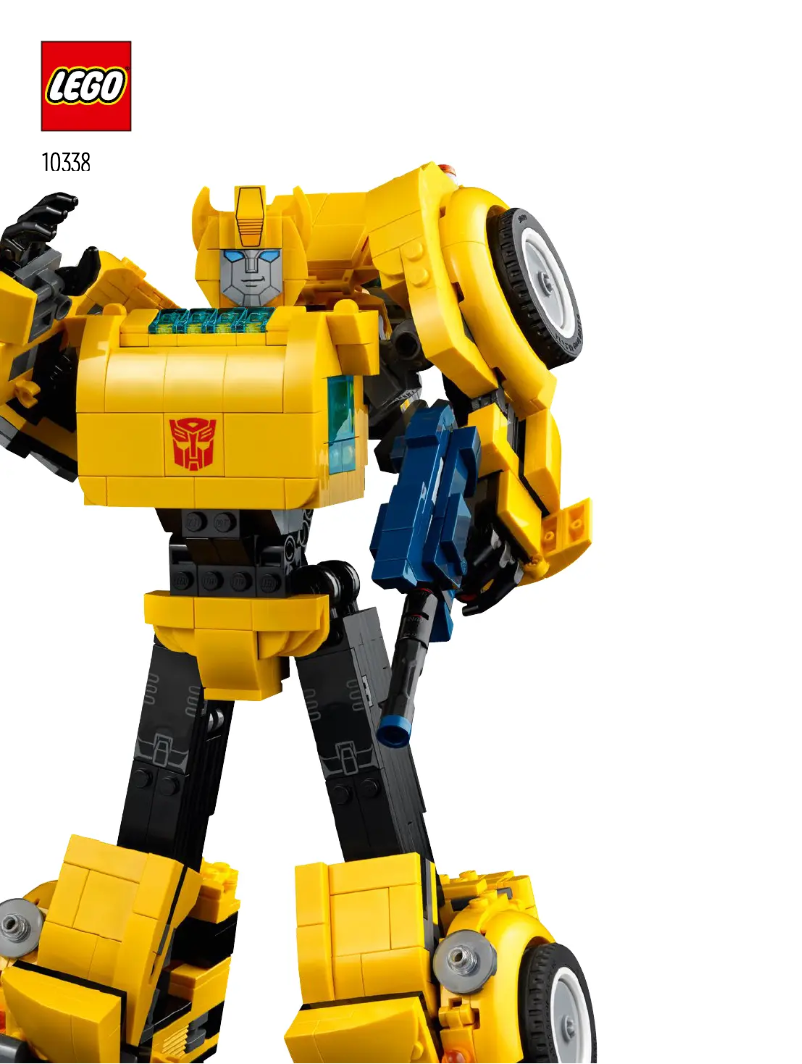 Page n°1 - Manuel utilisateur Lego Icons 10338