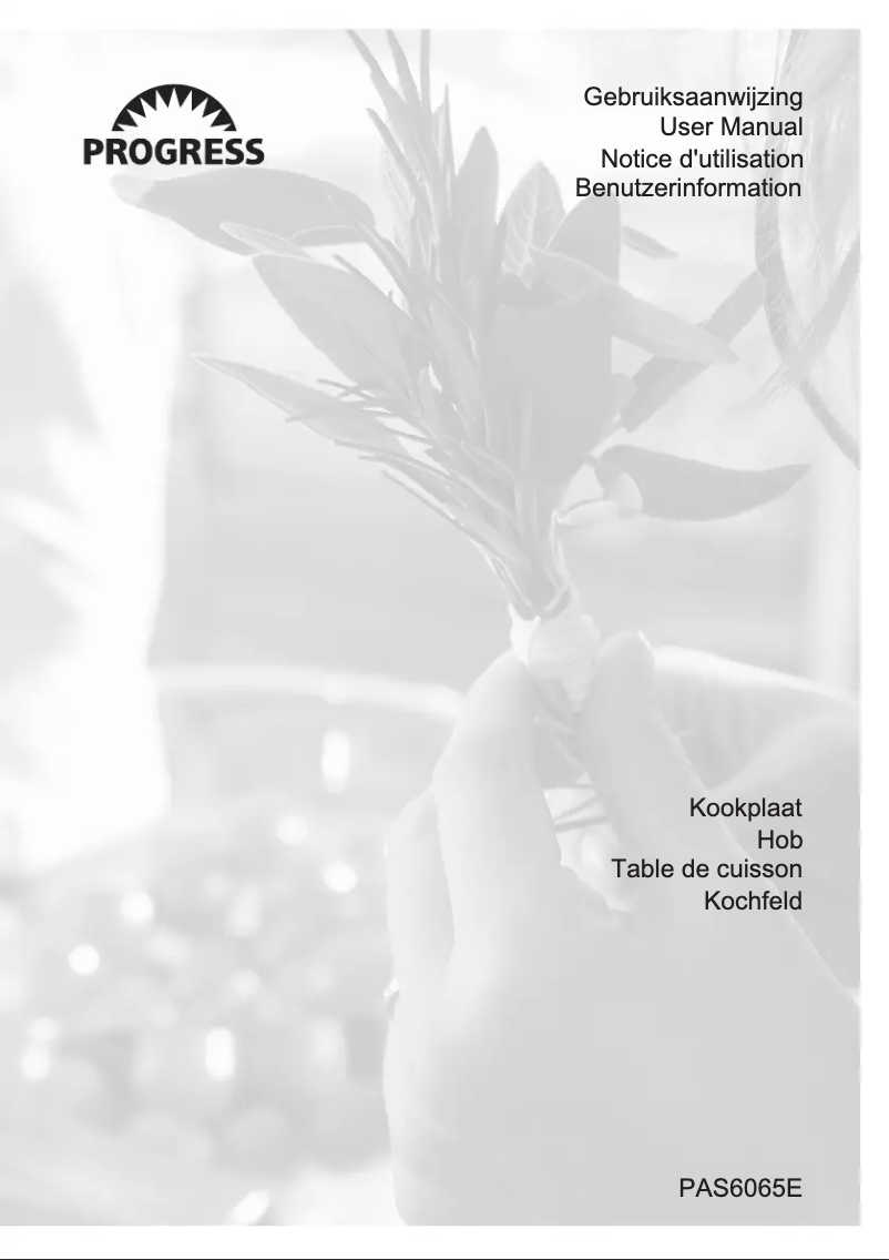 Page n°1 - Manuel utilisateur Progress PAS6065E