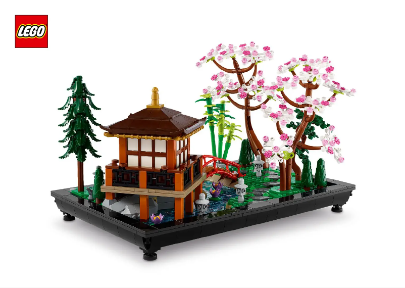 Image de la première page du manuel de l'appareil Icons 10315