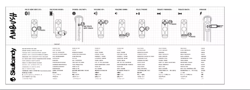 Image de la première page du manuel de l'appareil Ambush