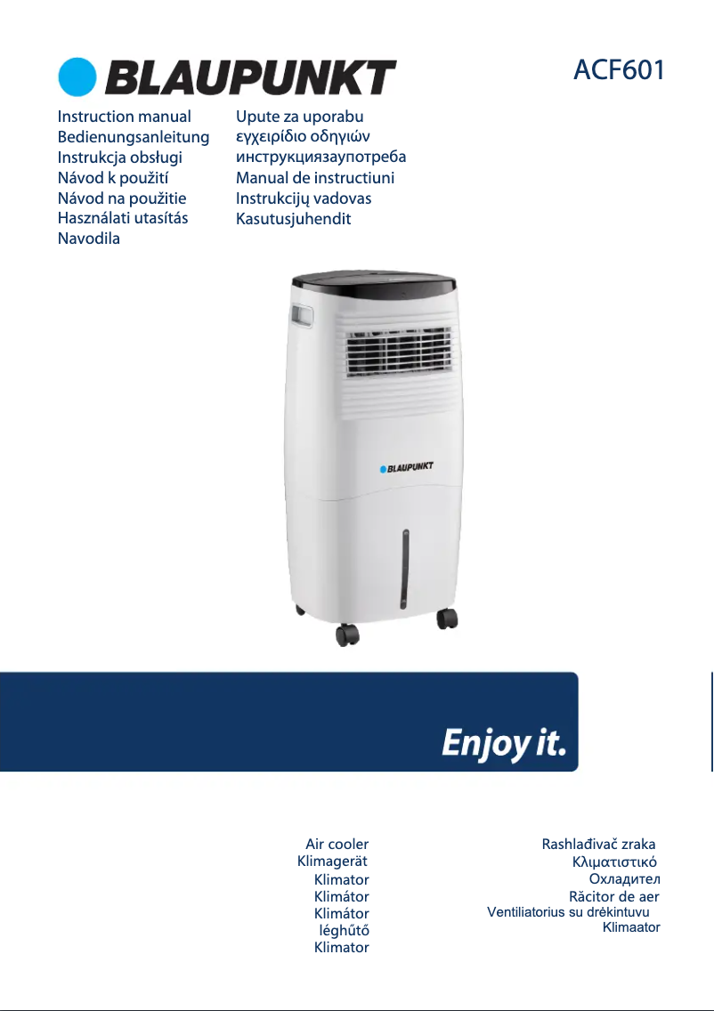 Page n°1 - Manuel utilisateur Blaupunkt ACF601