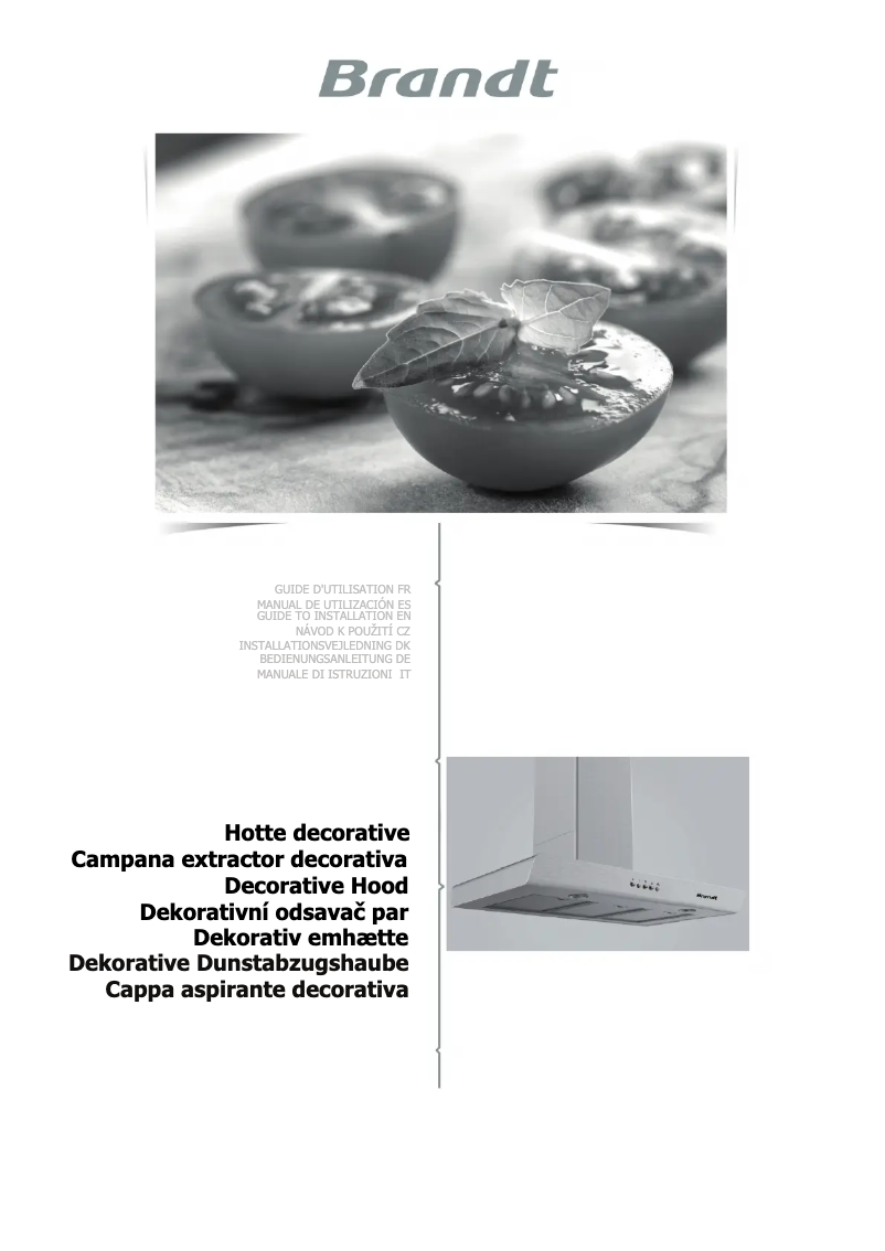 Page n°1 - Manuel utilisateur Brandt BHB6902X