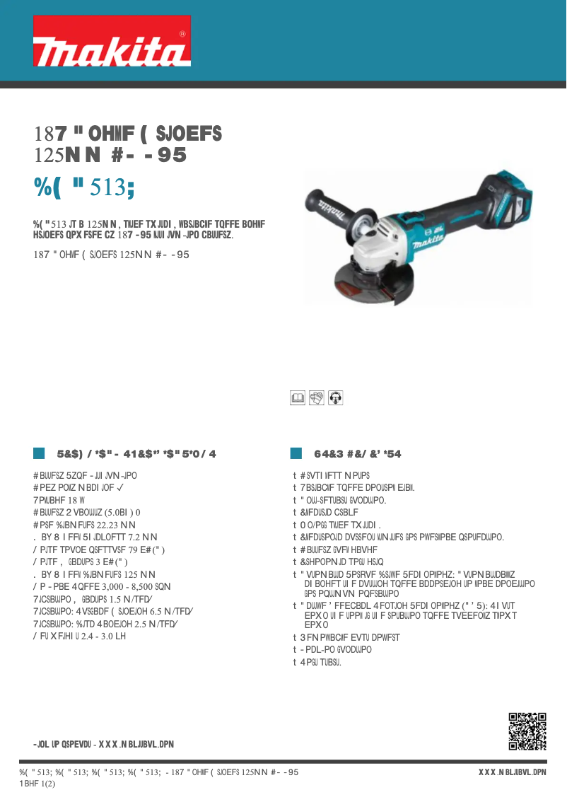 Image de la première page du manuel de l'appareil DGA513Z