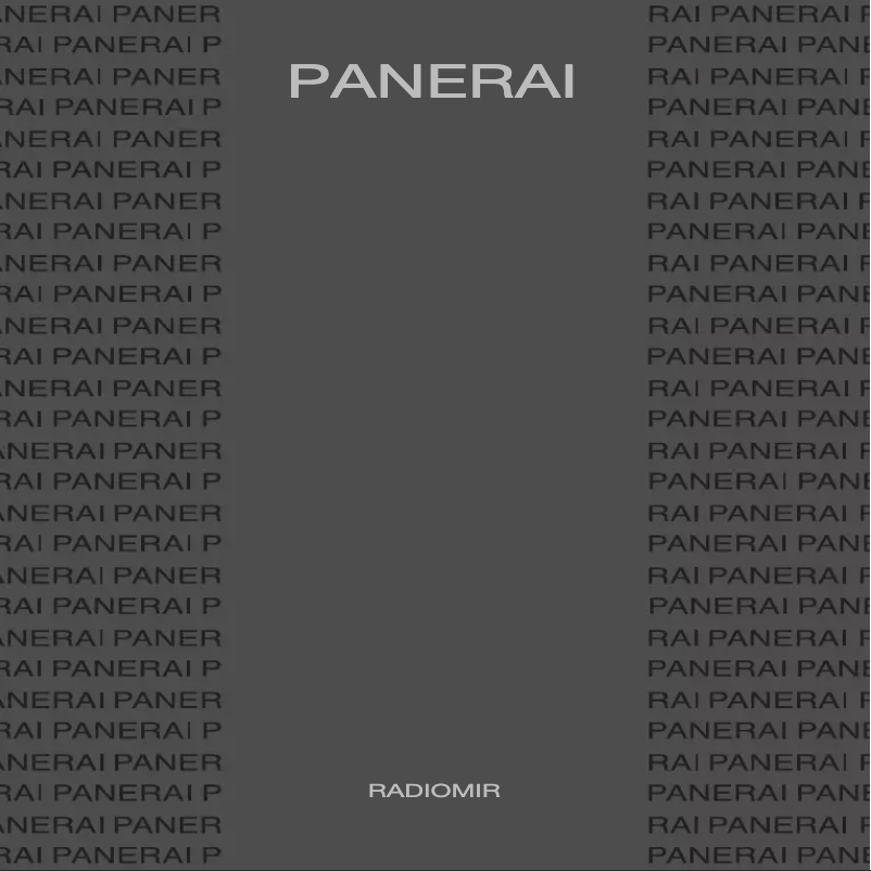 Image de la première page du manuel de l'appareil Radiomir Black Seal Acciaio