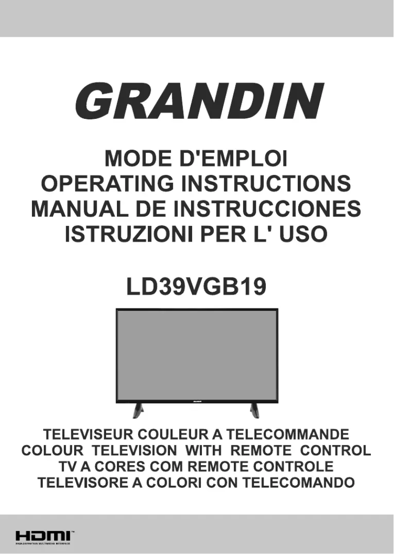 Page 1 de la notice Manuel utilisateur Grandin LD39VGB19