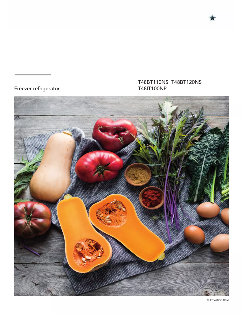 Image de la première page du manuel de l'appareil T48BT110NS