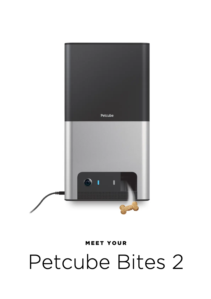 Page n°1 - Manuel utilisateur Petcube Bites 2 Lite