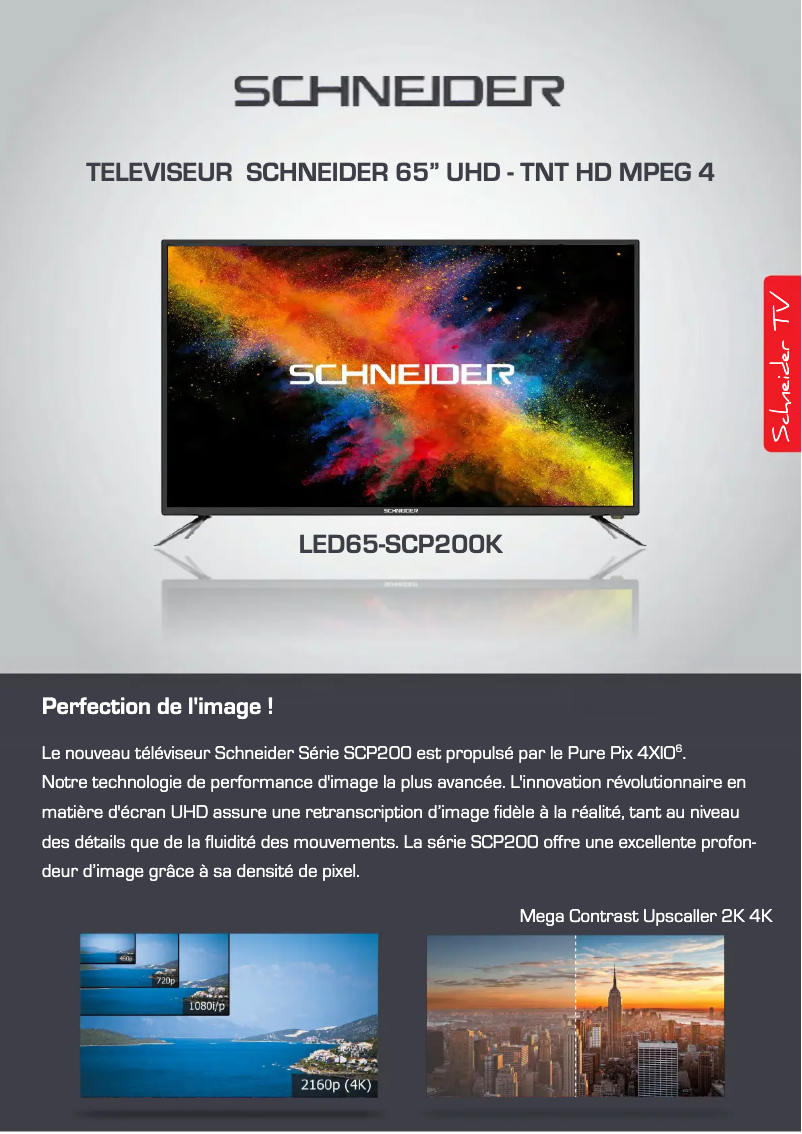 Page 1 de la notice Fiche technique Schneider LED65-SCP200K