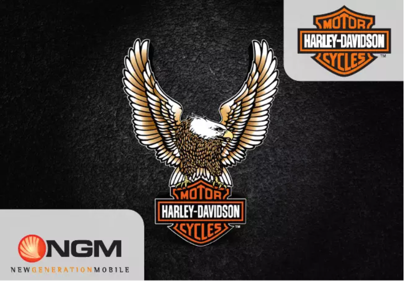 Image de la première page du manuel de l'appareil Harley-Davidson