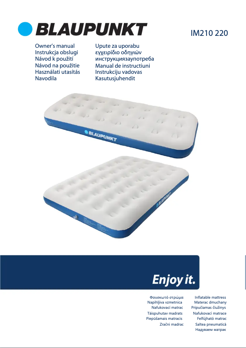Page 1 de la notice Manuel utilisateur Blaupunkt IM220