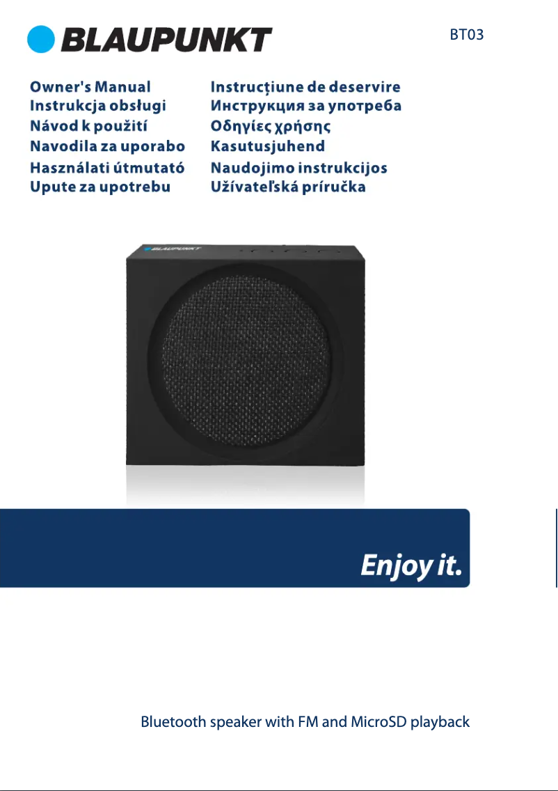 Página 1 del manual Manual de usuario Blaupunkt BT03