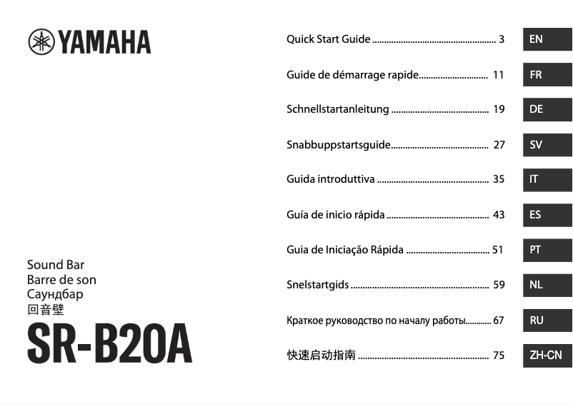 Image de la première page du manuel de l'appareil SR-B20A