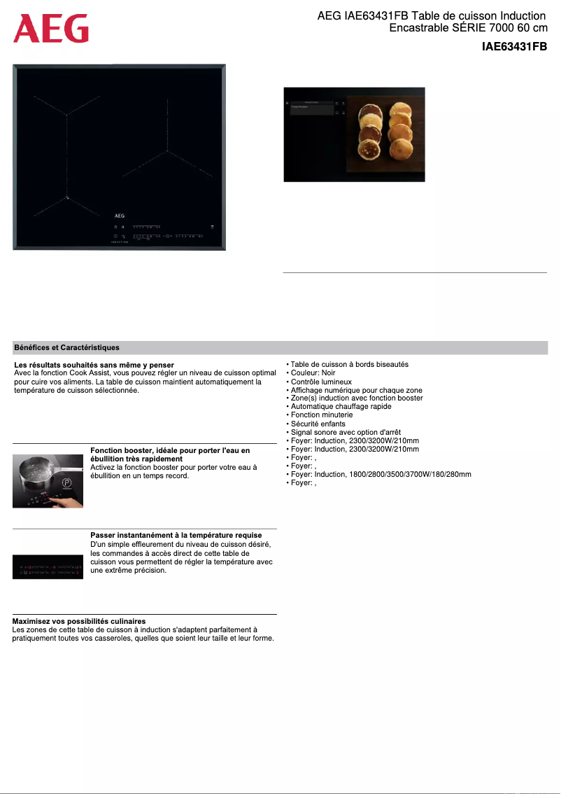 Image de la première page du manuel de l'appareil IAE63431FB