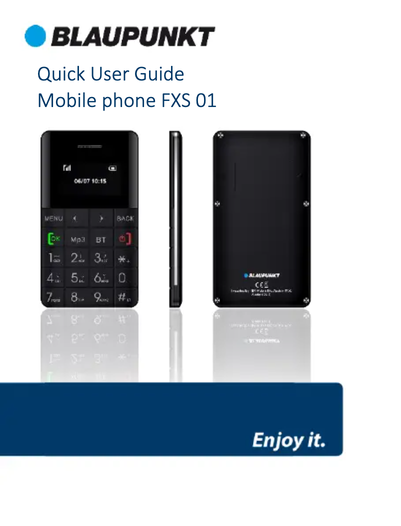 Page n°1 - Manuel utilisateur Blaupunkt FXS 01