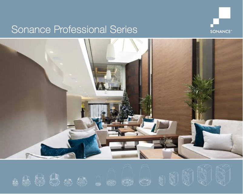 Image de la première page du manuel de l'appareil Professional PS-P63T